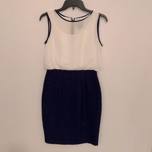 Anthropologie Mabel navy and white pencil skirt dress size 2